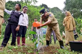 Setelah Rammang-rammang, Bantimurung Jadi Sasaran Program Budidaya Sukun