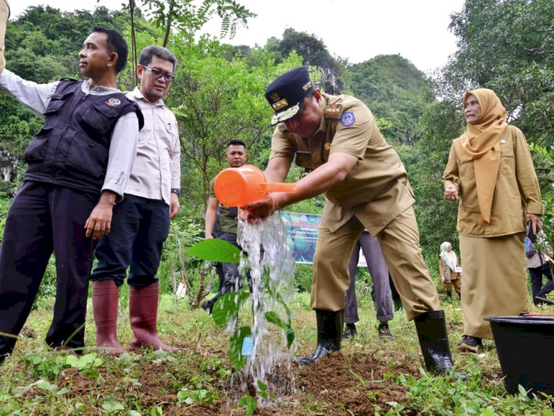 Penjabat Gubernur Sulsel Bahtiar Baharuddin menanam pohon sukun di Kawasan Taman Nasional Bantimurung, Selasa (30/1/2024). @Jejakfakta/dok. Humas Pemprov Sulsel