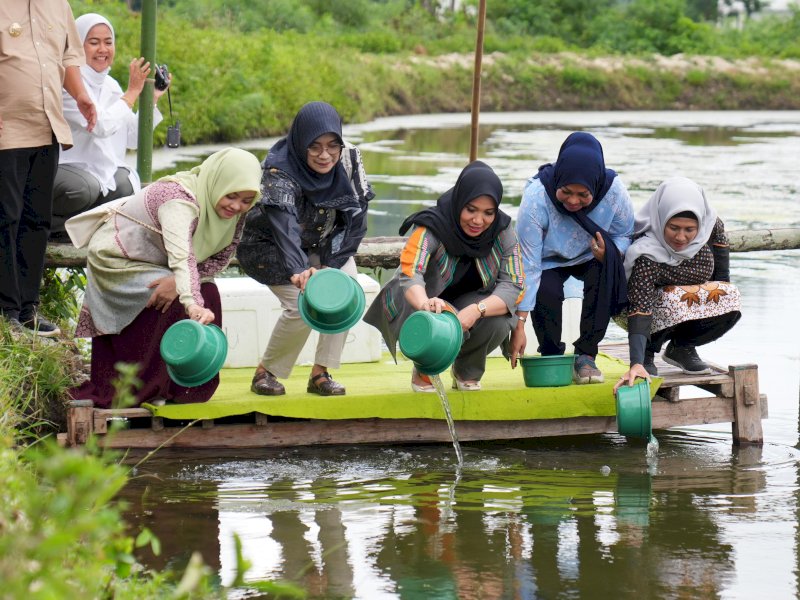 Pj Ketua TP PKK Sulsel, Sofha Marwah Bahtiar, melakukan penebaran benur udang Vaname di Tambak Kelompok Pembudidaya Perikanan di Bacukiki Barat, Kota Parepare, Sabtu (17/2/2024). @Jejakfakta/dok. Humas Pemprov Sulsel