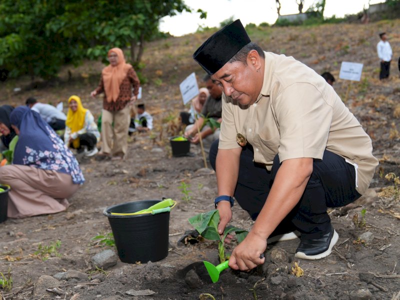 Pj Gubernur Sulsel, Bahtiar Baharuddin, menanam pisang cavendish di Pondok Pesantren Al Badar Bilalang, Kota Parepare, Sabtu (17/2/2024). @Jejakfakta/dok. Humas Pemprov Sulsel
