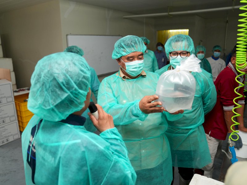 Pj Gubernur Sulsel Bahtiar Baharuddin mengembangkan benur udang untuk masyarakat pesisir di Sulsel. @Jejakfakta/dok. Humas Pemprov Sulsel