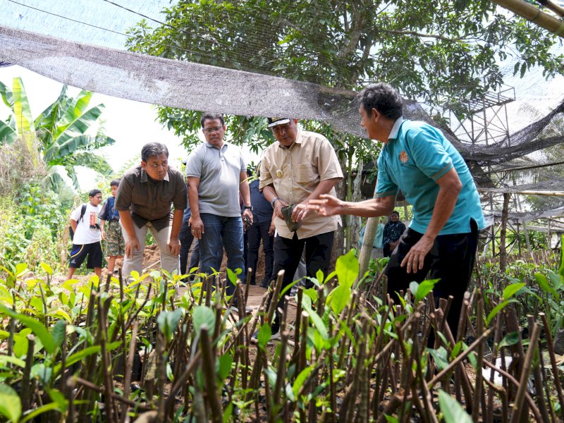 Pendamping Komunitas Pembibitan Sukun Desa Samaenre, Muh Yusuf, saat Saat berbincang dengan Pj Gubernur Sulsel Bahtiar Baharuddin di lokasi pembibitan, Sabtu (17/2/2024). @Jejakfakta/dok. Humas Pemprov Sulsel