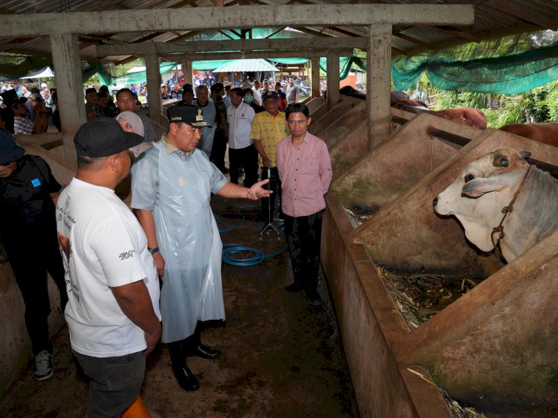 Penjabat Gubernur Provinsi Sulsel, Bahtiar Baharuddin,  melihat langsung proses Inseminasi Buatan (IB) peternakan di Desa Alitta, di Kecamatan Mattiro Bulu, Kabupaten Pinrang. @Jejakfakta/dok. Humas Pemprov Sulsel