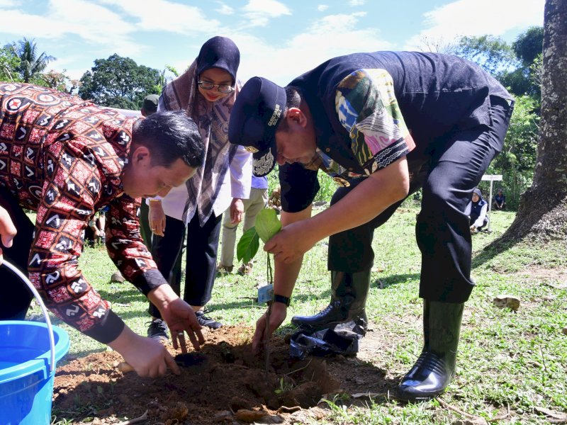 Pj Gubenur Sulsel Bahtiar Baharuddin melakukan penanaman nangka madu di lahan warga, di Kelurahan Balleang, Kecamatan Balloci, usai pelaksanaan puncak HUT Ke-64 Kabupaten Pangkep, Rabu (28/2/2024). @Jejakfakta/dok. Humas Pemprov Sulsel
