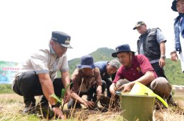 Usai Tanam Sukun, Pj Gubernur Sulsel Serahkan Bantuan Darurat dan Logistik Longsor di Kabupaten Luwu