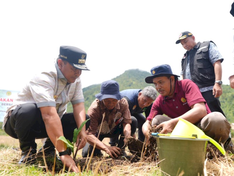 Pj Gubernur Sulawesi Selatan Bahtiar Baharuddin bersama Penjabat Bupati Luwu Muh Saleh dan Forkopimda Luwu, melakukan penanaman sukun di Dusun Labokke, Desa Putu, Kecamatan Bua, Kabupaten Luwu, Kamis (29/2/2024). @Jejakfakta/dok. Humas Pemprov Sulsel