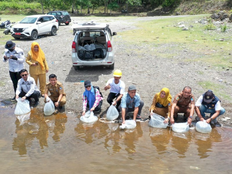 Pemerintah Provinsi (Pemprov) Sulsel melalui Dinas Kelautan dan Perikanan kembali menebar benih ikan di Kabupaten Bone. Hari ini, Selasa, 5 Maret 2024, 600 ribu benih ikan ditebar di tiga lokasi berbeda. @Jejakfakta/dok. Humas Pemprov Sulsel