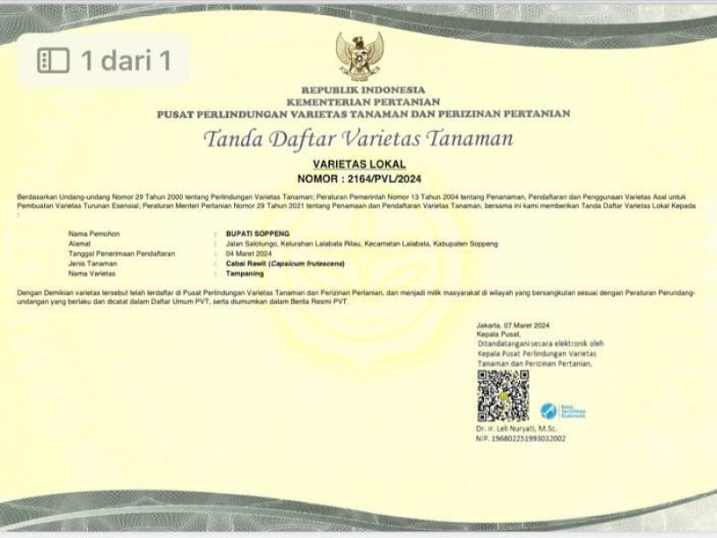 Sertifikasi bibit cabai Tampaning menjadi hak paten. @Jejakfakta/dok. Humas Pemprov Sulsel