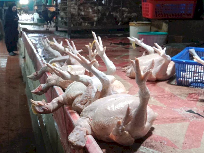 Sejumlah harga kebutuhan pokok jelang ramadan baik, seperti ayam potong naik hingga Rp.65 per ekornya, di Pasar Toddopuli Makassar, Sabtu (9/3/2024). @Jejakfakta/Samsir