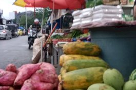 Jelang Ramadan, Harga Buah Pepaya di Pasar Toddopuli Tembus 25 Ribu