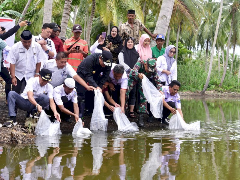 Pj Gubernur Sulawesi Selatan Bahtiar Baharuddin dan Pj Bupati Bone Islamuddin kembali melakukan penebaran 400 ribu bibit ikan nila dan mas di dua lokasi di Kabupaten Bone, Rabu (13/3/2024). @Jejakfakta/dok. Humas Pemprov Sulsel