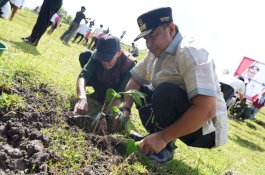50 Ribu Bibit Akan Dibagikan pada Launching Sedekah Pohon Sekaligus Buka Puasa Akbar di Bone