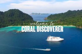 Bawa Turis Australia, Kapal Pesiar Coral Explorer Akan Berlabuh di Tanah Beru