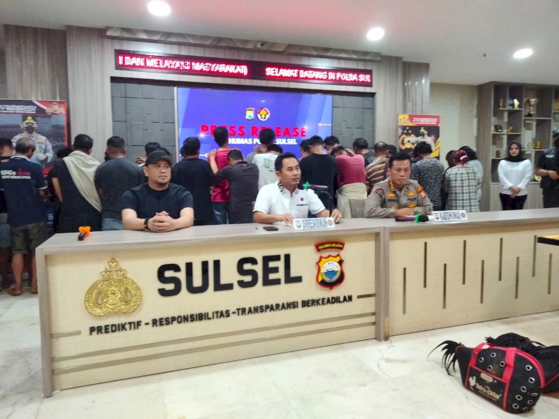 Polda Sulsel ungkap kasus perjudian sabung ayam di Dusun Sekebolongan, Desa Lembang, Kabupaten Toraja Utara. @Jejakfakta/Samsir