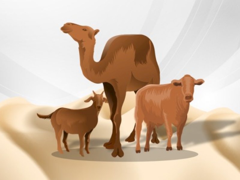 Ilustrasi.