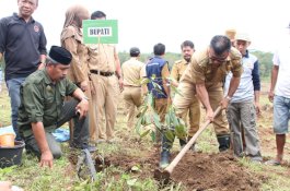 Tidak Hanya Bibit Unggul, Petani Bulukumba Juga Dibantu Pembersihan Lahan