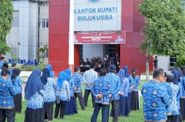 Disetujui Kemendagri, Tiga Bulan TPP PNS Bulukumba Segera Cair