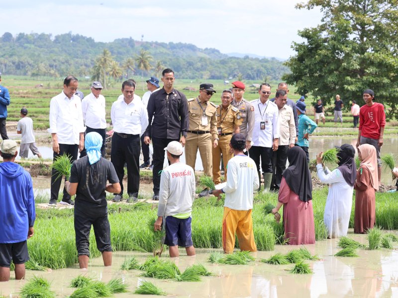 Presiden Jokowi menyapa para petani yang sementara mencabut benih padi saat melakukan kunjungan kerja di Desa Jaling Kabupaten Bone. @Jejakfakta/dok. Ist.