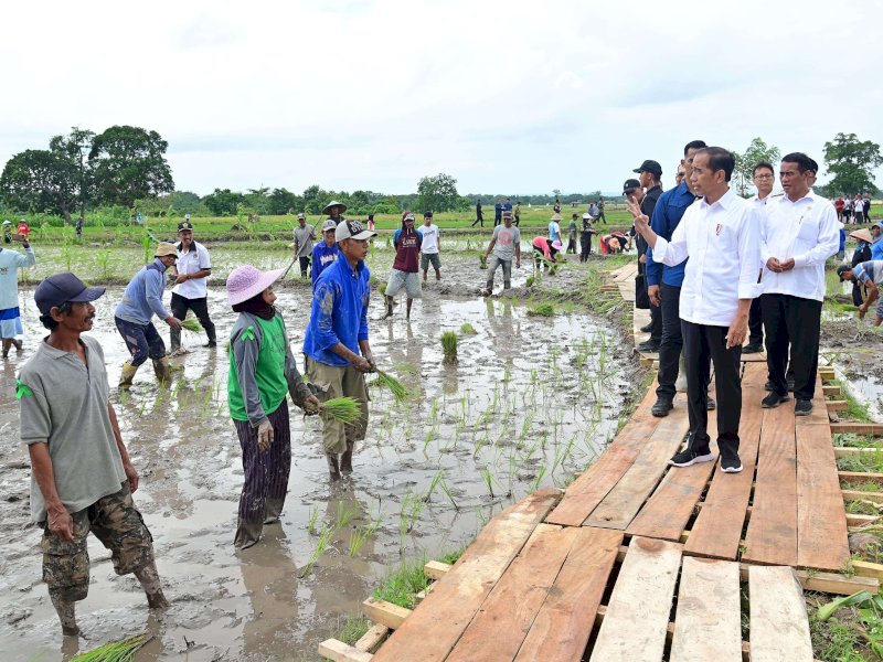 Presiden Joko Widodo didampingi Menteri Pertanian Amran Sulaiman meninjau langsung pelaksanaan pemberian bantuan pompa untuk pengairan sawah dan pertanian diDesa Layoa, Kabupaten Bantaeng, Sulawesi Selatan, Jumat (5/7/2024). (Foto: BPMI Setpres)