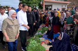 Ciptakan Sejarah atas Kunjungan Jokowi, Ketua IKA Smansa Bulukumba Apresiasi Pemerintah Daerah