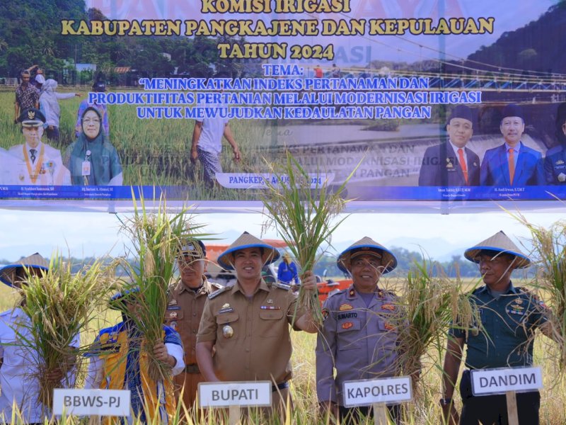 Bupati Pangkep, Muhammad Yusran Lalogau (MYL) panen raya padi musim tanam II, daerah irigasi Tabo-tabo, Senin (5/8/2024). @Jejakfakta/dok. Humas Pemkab Pangkep