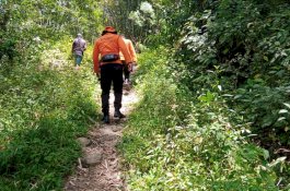 Lansia Dilaporkan Hilang Usai Melintas di Hutan Bambu Torut
