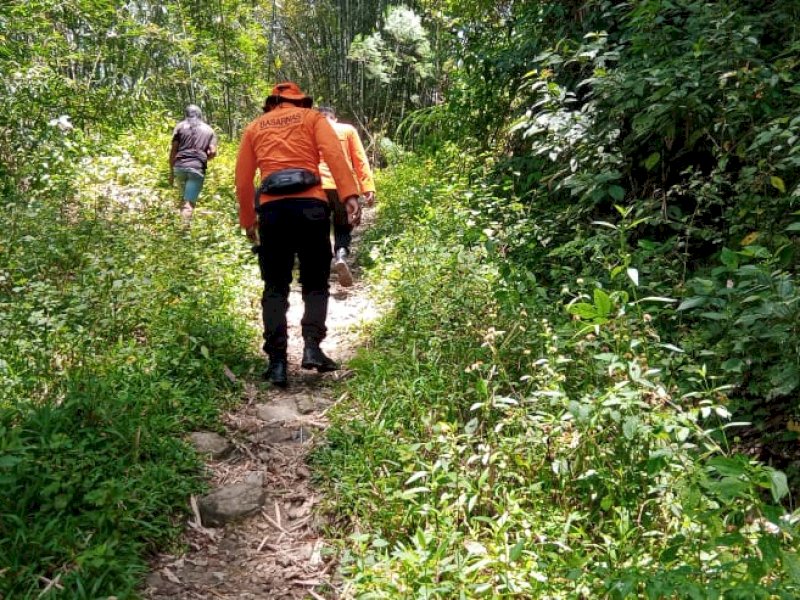Tim Basarnas bersama Tim SAR Gabungan langsung melakukan pencarian terhadap korban Epi (83) warga Lembang Bori Ranteletok Kecamatan Sesean Kabupaten Toraja Utara dilaporkan hilang, Minggu (29/9/2024) siang. @Jejakfakta/dok.  Basarnas Makassar