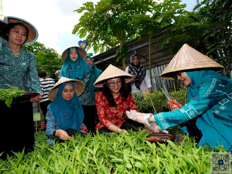 Pj. Ketua TP PKK Sulawesi Selatan, Ninuk Triyanti Zudan bersama Pjs. Ketua TP PKK Kota Makassar, Andi Tenri Anna, menyempatkan untuk panen cabe dan sayuran di Kebun Hatinya PKK di Lorong PKK di Kelurahan Mangasa, Kota Makassar, Rabu (16/4/2024). @Jejakfakta/dok. Humas Pemkot Makassar