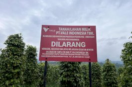 Walhi Sulsel Bantah Klaim PT Vale Jalankan Green Mining di Sulawesi