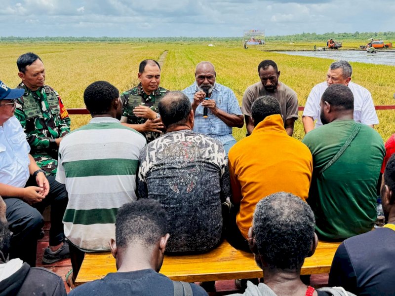 Kegiatan panen dan tanam padi di Kampung Telaga Sari, Distrik Kurik, Kabupaten Merauke, Papua Selatan, Selasa (08/10/2024). Masyarakat Papua Selatan menyampaikan pentingnya transformasi kultur pangan di Merauke sebagai pilar utama dalam ketahanan pangan nasional. Menurutnya, perubahan dari kultur sagu ke padi bukan sekadar pergantian tanaman, tetapi langkah strategis yang butuh komitmen tinggi dan profesionalisme masyarakat. (Foto dok. Ditjen PSP Kementan).