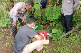 Bayi Laki-laki Ditemukan Meninggal dalam Kardus di Bajeng, Gowa