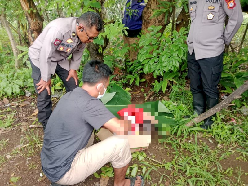 Mayat bayi laki-laki ditemukan di dalam sebuah kardus di pinggir Jalan Poros Paukiri', Desa Pa'bentengang, Kecamatan Bajeng, Kabupaten Gowa, pada Rabu (11/12/2024). @Jejakfakta/Istimewa