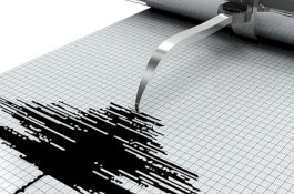 Sepanjang 2024, 4.139 Gempa Bumi Terjadi di Sulawesi