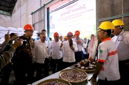 Menko Zulkifli Hasan: Pemerintah Siap Kembalikan Kejayaan Cokelat Indonesia