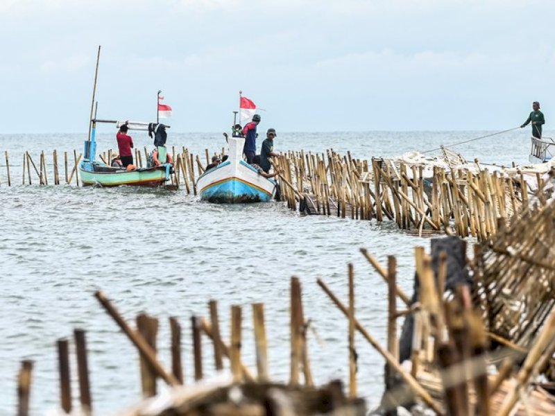 Pagar laut di Tangerang (ANTARA FOTO/Rivan Awal Lingga)