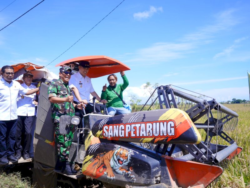 Bupati Pangkep, Muhammad Yusran Lalogau (MYL), melakukan panen raya padi di area persawahan Kelurahan Mangallekana, Kecamatan Labakkang, pada Senin (7/4/2025). @Jejakfakta/dok. Humas Pemkab Pangkep