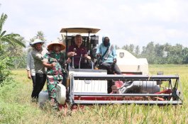 Pinrang Tunjukkan Peran Vital dalam Panen Raya Nasional 2025