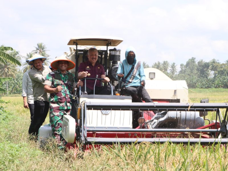 Bupati Pinrang, Andi Irwan Hamid, saat panen raya di Kelurahan Samaturue, Kecamatan Tiroang, Kabupaten Pinrang, Senin (7/4/2025). @Jejakfakta/dok. Istimewa