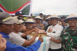 Lutim Ambil Bagian dalam Panen Raya Nasional, Wabup Puspa Apresiasi Peran Petani