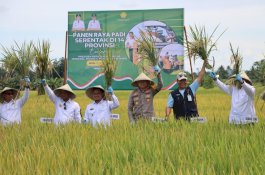 Pata-Dhevy Ikut Panen Raya Padi Serentak, Luwu Siap Swasembada Pangan