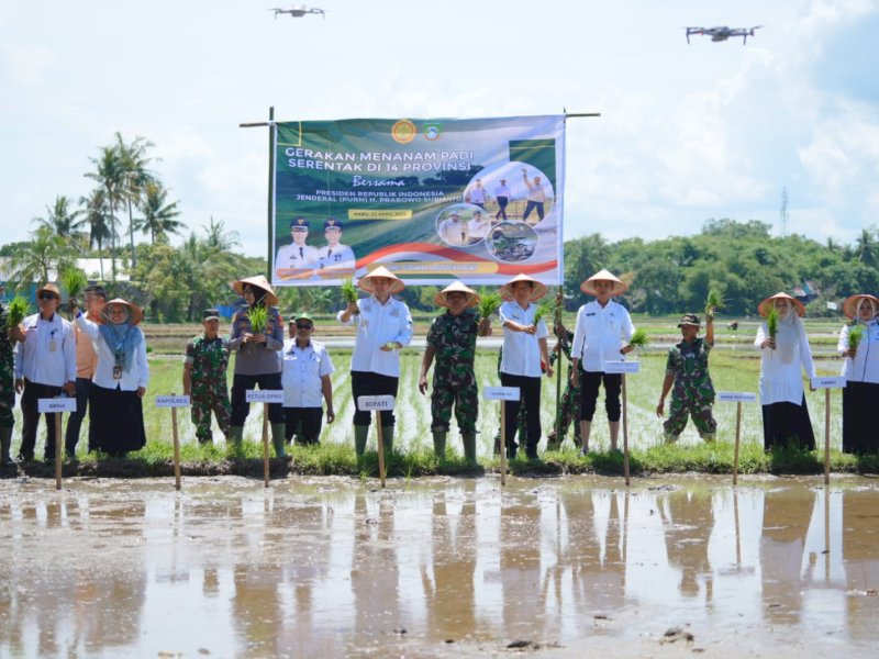 Bupati Pangkep dan jajaran perwakilan OPD terkait melaksanakan gerakan tanam padi serentak di Kecamatan Ma'rang, Pangkep, Rabu (23/4/2025). @jejakfaktacom/Humas Pemda Pangkep.