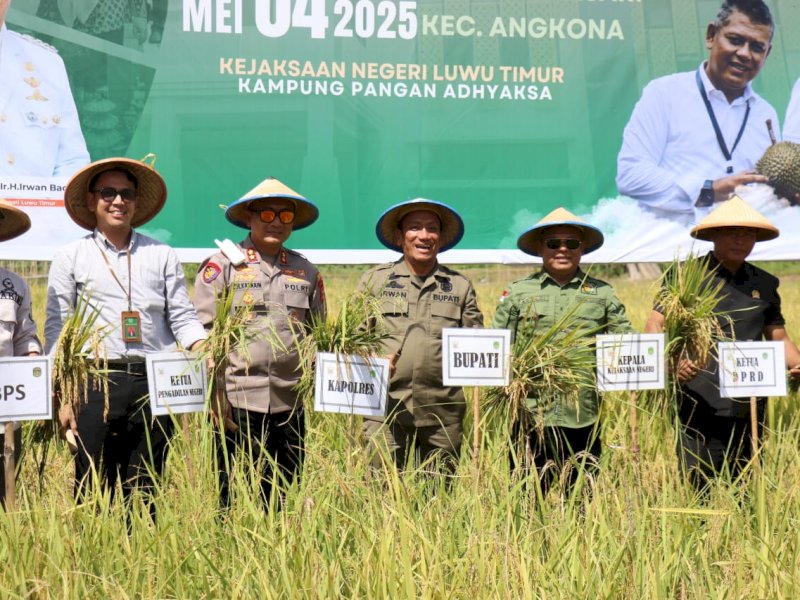 Bupati Luwu Timur, Irwan Bachri Syam, bersama unsur Forum Koordinasi Pimpinan Daerah (Forkopimda) Lutim menghadiri panen raya padi di Desa Wanasari, Kecamatan Angkona, Ahad (04/05/2025). @Jejakfakta/dok. Humas Pemkab Lutim