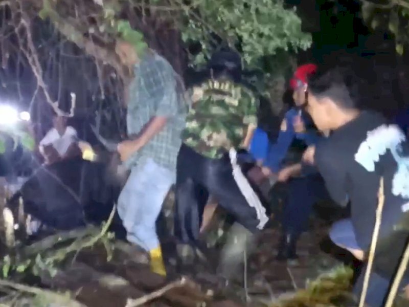 Tim Damkar Kota Makassar bersama warga melakukan evakuasi seekor sapi yang terperosok ke dalam kolam di Jalan Dg Tata Raya, Makassar, Kamis sore (22/5/2025). @Jejakfakta/Tangkapan Layar