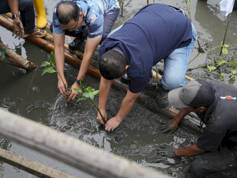 Wali Kota Makassar, Munafri Arifuddin, didampingi Sekretaris Daerah Zulkifly Nanda, menghadiri penanaman mangrove di kawasan wisata Dermaga A, Kelurahan Untia, Kecamatan Biringkanaya, Minggu (1/6/2025). @Jejakfakta/dok. Humas Pemkot Makassar