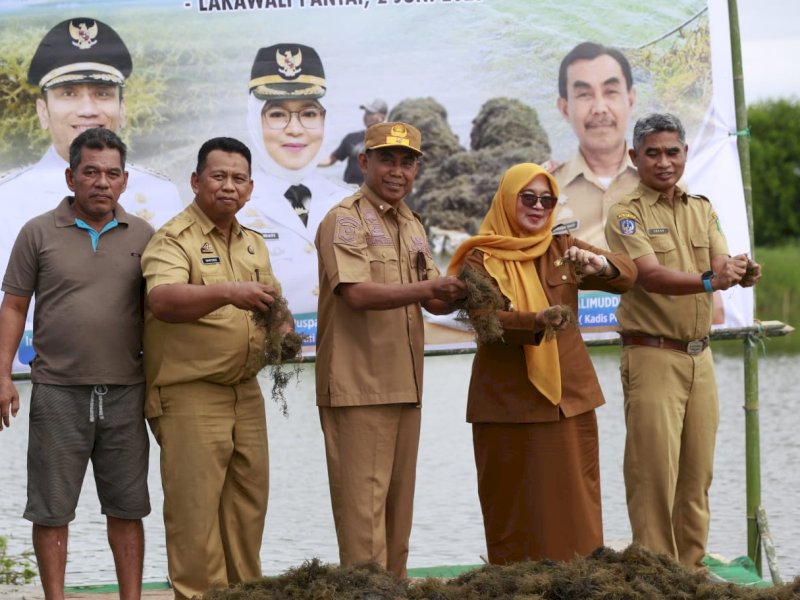 Wakil Bupati Luwu Timur, Puspawati Husler, melakukan penebaran bibit rumput laut jenis Gracilaria di Desa Lakawali Pantai, Kecamatan Malili, Senin (2/6/2025).  @Jejakfakta/dok. Humas Pemkab Lutim