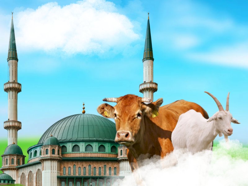 @jejakfaktacom/Istimewa