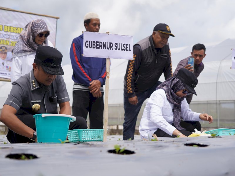 Bupati Gowa, Sitti Husniah Talenrang,  bersama Bupati Gowa, Sitti Husniah Talenrang, saat penanaman bibit benih stek kentang berakar, di Kelurahan Pattapang, Kecamatan Tinggimoncong, Rabu (30/7/2025). @Jejakfakta/dok. Humas Pemkab Gowa