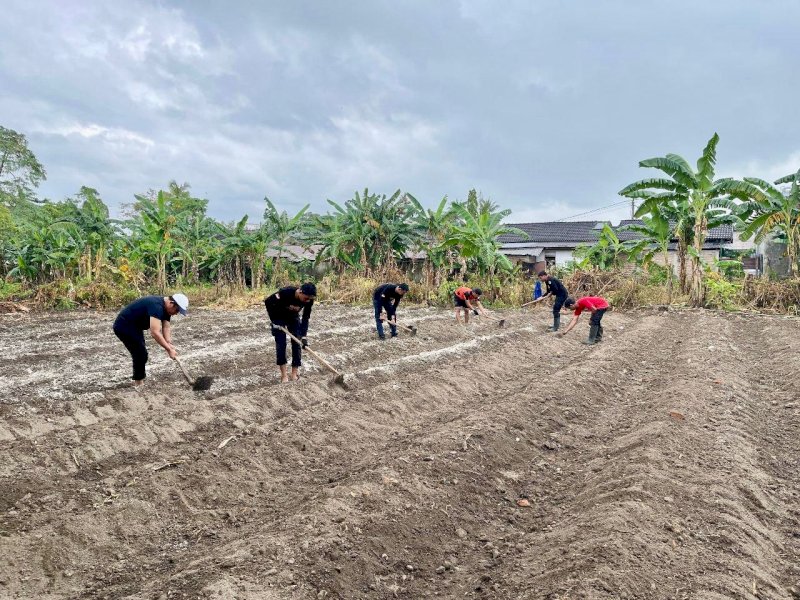Sejumlah instansi di Pemkab Bulukumba mulai mengolah lahan pekarangan kantor menjadi kebun produktif. @Jejakfakta/Istimewa