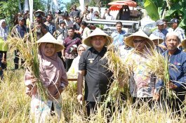 Wali Kota Makassar Dorong Pemanfaatan Lahan Sempit untuk Urban Farming