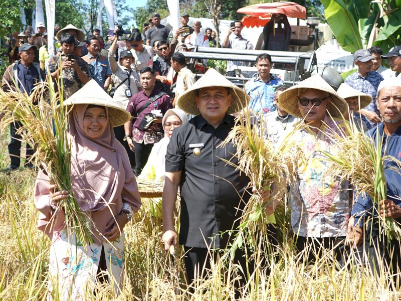 Wali Kota Makassar, Munafri Arifuddin, mengikuti panen raya bersama Kelompok Tani Manyikkoaya, Jalan Arung Teko, Kamis (14/8/2025). @Jejakfakta/dok. Humas Pemkot Makassar